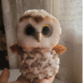 An Owl's Echo: Autumn's Guardian ポスター