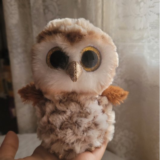 An Owl's Echo: Autumn's Guardian ポスター