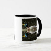 (Anaのplatyrhyncus)、水を離れて後揺れる マグカップ (正面右)