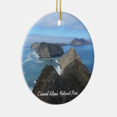 Anacapaの島のチャネル諸島の国立公園 セラミックオーナメント (右)