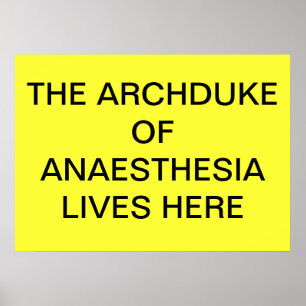 ANAESTHESIAポスターのARCHDUKEはここに住んでいます ポスター