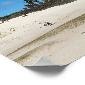 Anakena, Rapa Nui, Easter Island, Chile ポスター (角)