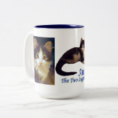 Anakinの両脚猫、かわいい子ネコのマグの終わり ツートーンマグカップ (正面左)