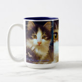 Anakinの両脚猫、かわいい子ネコのマグ、終わり ツートーンマグカップ (左)