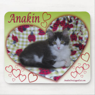 Anakin両脚猫のてんとう虫のハートKittyMousepad マウスパッド