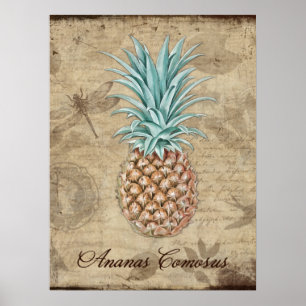 Ananas Comosus – 自然史 ポスター