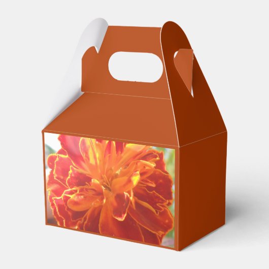 Anastaise フェイバーボックス (正面サイド)