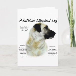 Anatolian羊飼い犬の歴史のデザイン シーズンカード