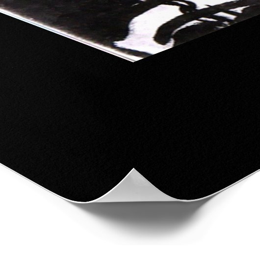 ANATOLIAN GIRLS ポスター (角)