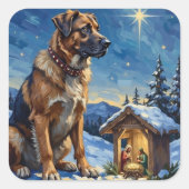 Anatolian Shepherd Dog Guarding Nativity Scene スクエアシール (正面)