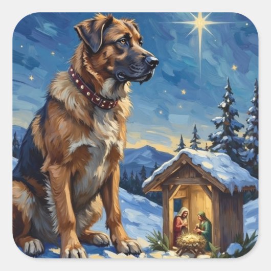 Anatolian Shepherd Dog Guarding Nativity Scene スクエアシール (正面)