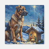 Anatolian Shepherd Dog Guarding Nativity Scene マグネット (正面)