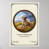 Anatolian Shepherd Dog Zoology Series ポスター (正面)