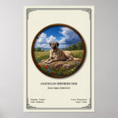 Anatolian Shepherd Dog Zoology Series ポスター (正面)