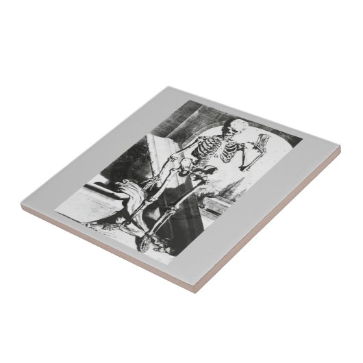 Anatomia Humani Corpusのスケルトン タイル (側面)