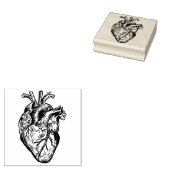 Anatomical Heart ラバースタンプ (押印)
