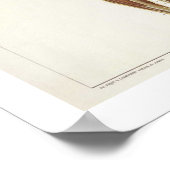 Anatomy Anterior Poster ポスター (角)