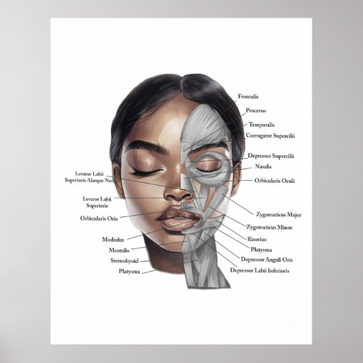 Anatomy Face Print 3 ポスター (正面)
