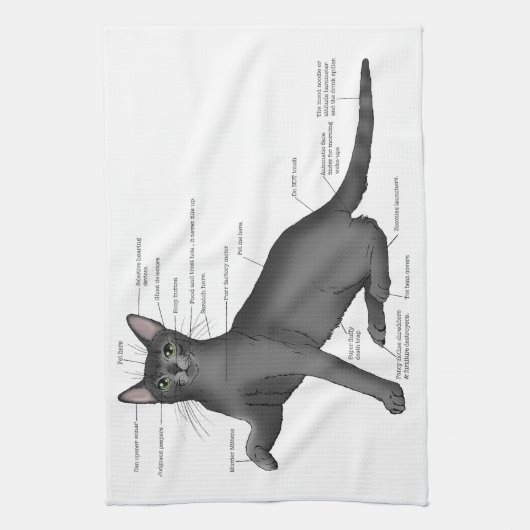 Anatomy of a Cat キッチンタオル (縦)