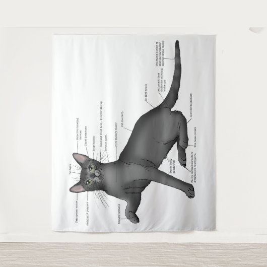 Anatomy of a Cat タペストリー (正面)