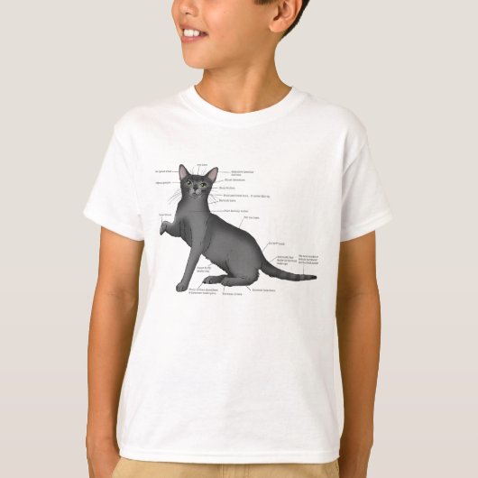 Anatomy of a Cat Tシャツ (正面)