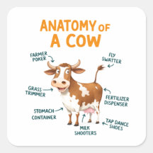 Anatomy of a Cow | Funny Doctor Day