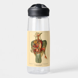 Anatomy of a Pigeon ウォーターボトル