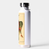 Anatomy of a Pigeon ウォーターボトル (左面)