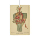 Anatomy of a Pigeon カーエアーフレッシュナー (正面)