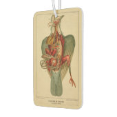 Anatomy of a Pigeon カーエアーフレッシュナー (左)