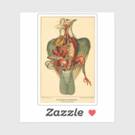 Anatomy of a Pigeon シール