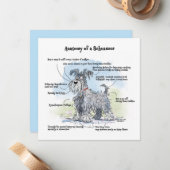 Anatomy of a Schnauzer Funny Notecard ノートカード (正面/裏面インサイチュ)