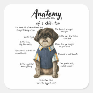 Anatomy of a Shihtzu Unconditional Love Edition  スクエアシール