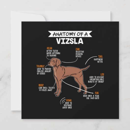 Anatomy Of A Vizsla Dog 招待状 (正面)
