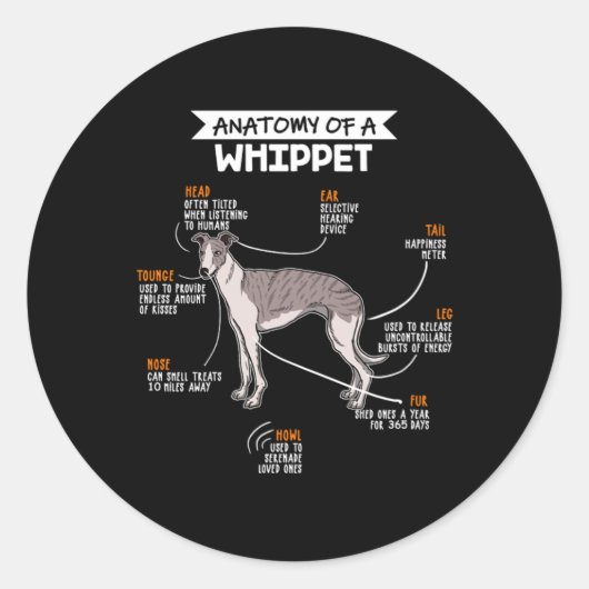 Anatomy Of A Whippet Dog ラウンドシール (正面)