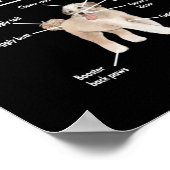 Anatomy of An Aussiedoodle Dog ポスター (角)