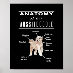 Anatomy of An Aussiedoodle Dog ポスター
