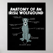 Anatomy Of An Irish Wolfhound ポスター (正面)