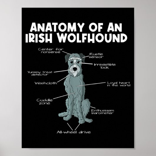 Anatomy Of An Irish Wolfhound  ポスター (正面)
