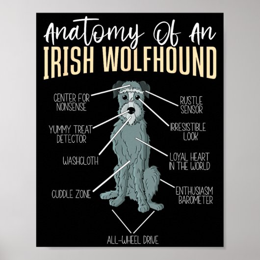 Anatomy Of An Irish Wolfhound  ポスター (正面)