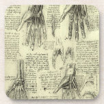 Anatomy of the Human Hand by Leonardo da Vinci コースター<br><div class="desc">Several views of the anatomy of a human hand (c. 1510) by Leonardo da Vinci (1452-1519). A vintage Renaissance Era fine art science painting featuring several views of the internal workings of a human hand. A drawing including the bones, skeleton, muscles and tendons. Great design for someone in the medical...</div>