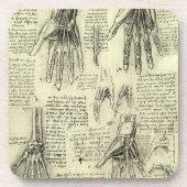 Anatomy of the Human Hand by Leonardo da Vinci コースター (正面)