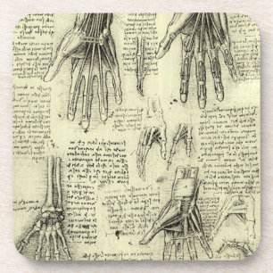 Anatomy of the Human Hand by Leonardo da Vinci コースター