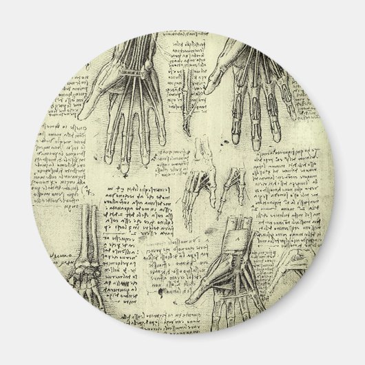 Anatomy of the Human Hand by Leonardo da Vinci マグネット (正面)