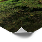 Anavilhanas、Amazonas、ブラジル。熱帯雨林の川 ポスター (角)