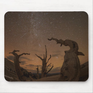 Ancient Bristlecone Pine Forest California マウスパッド