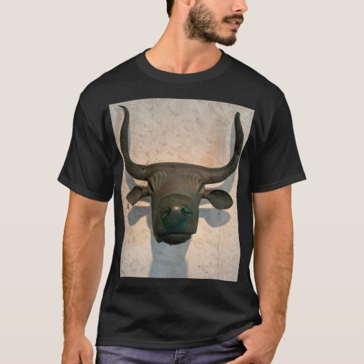 Ancient Bull Tシャツ (正面)