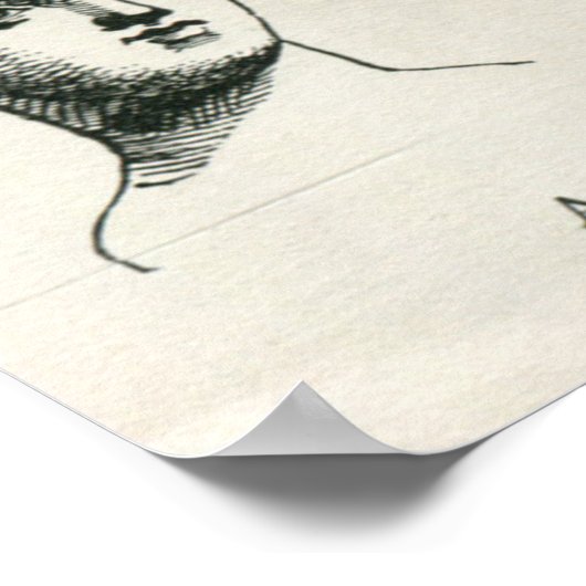 Ancient Greek Hairstyles ポスター (角)