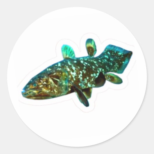 Ancient King Fish Coelacanth Artistic Sticker ラウンドシール (正面)