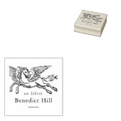 Ancient Mythical Pegasus Ex Libris Book ラバースタンプ (押印)